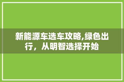 新能源车选车攻略,绿色出行，从明智选择开始