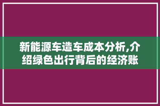 新能源车造车成本分析,介绍绿色出行背后的经济账