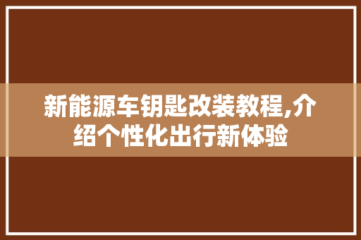 新能源车钥匙改装教程,介绍个性化出行新体验