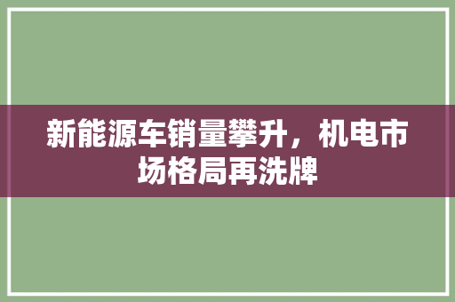 新能源车销量攀升，机电市场格局再洗牌