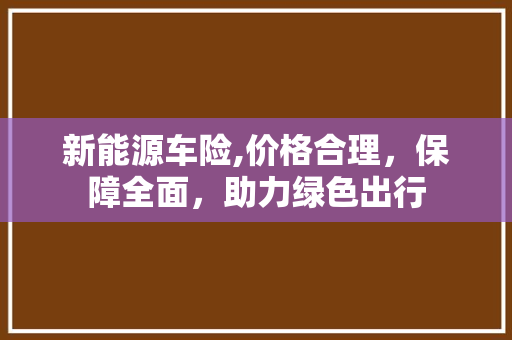新能源车险,价格合理，保障全面，助力绿色出行