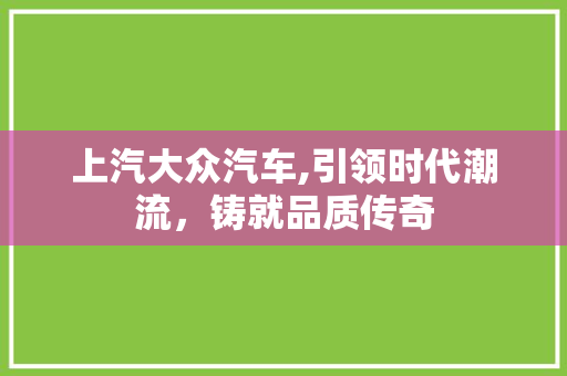 上汽大众汽车,引领时代潮流，铸就品质传奇