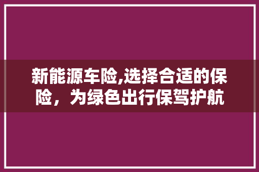 新能源车险,选择合适的保险，为绿色出行保驾护航