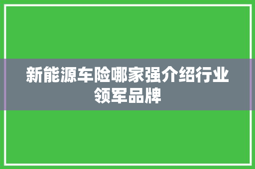 新能源车险哪家强介绍行业领军品牌