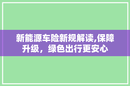 新能源车险新规解读,保障升级，绿色出行更安心