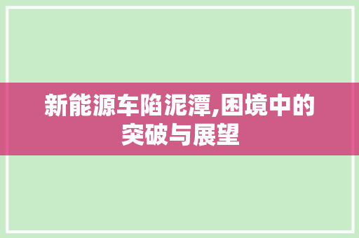 新能源车陷泥潭,困境中的突破与展望