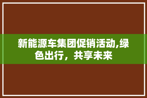 新能源车集团促销活动,绿色出行，共享未来