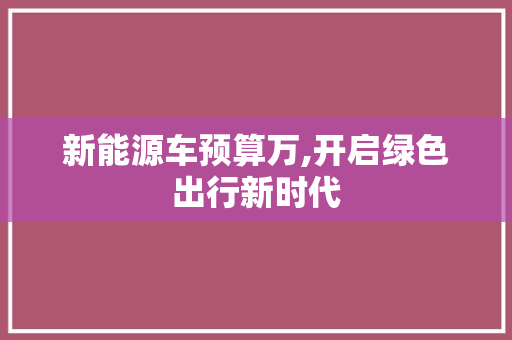 新能源车预算万,开启绿色出行新时代