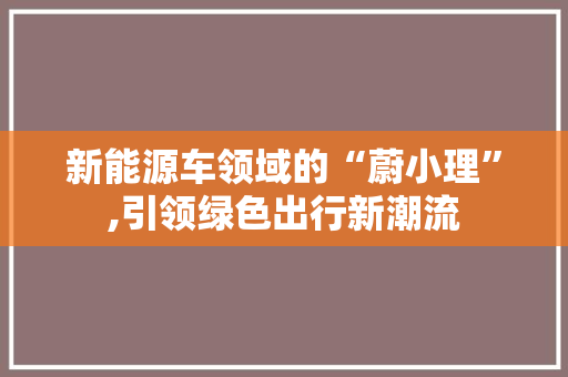 新能源车领域的“蔚小理”,引领绿色出行新潮流