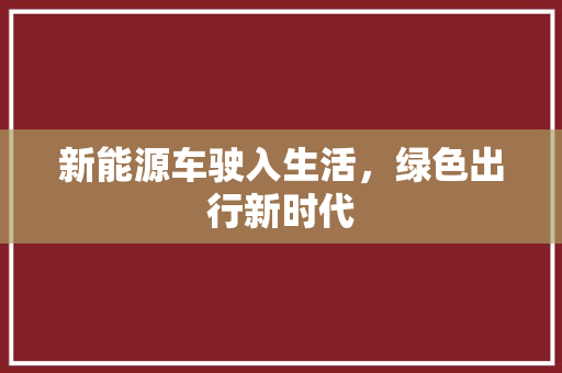 新能源车驶入生活，绿色出行新时代