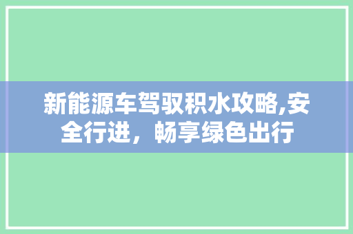 新能源车驾驭积水攻略,安全行进，畅享绿色出行