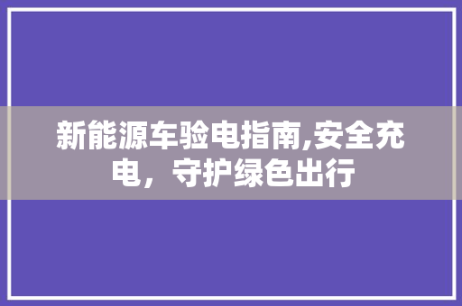 新能源车验电指南,安全充电，守护绿色出行