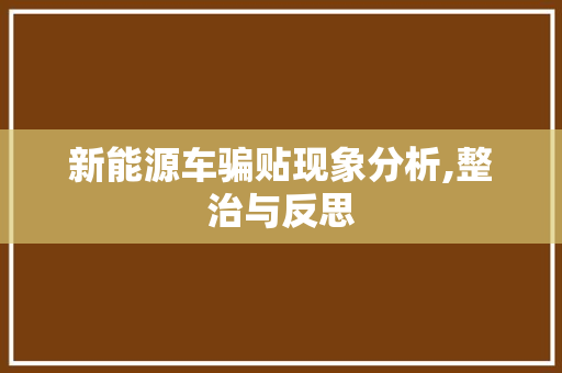 新能源车骗贴现象分析,整治与反思