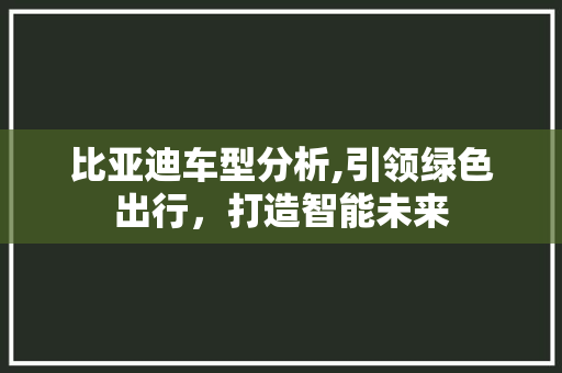 比亚迪车型分析,引领绿色出行，打造智能未来