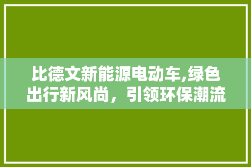 比德文新能源电动车,绿色出行新风尚，引领环保潮流