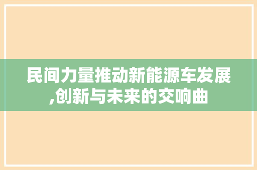 民间力量推动新能源车发展,创新与未来的交响曲