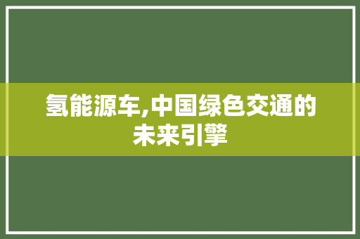 氢能源车,中国绿色交通的未来引擎