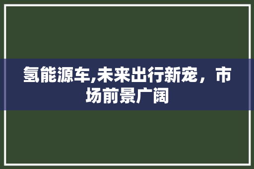 氢能源车,未来出行新宠，市场前景广阔