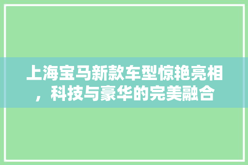 上海宝马新款车型惊艳亮相，科技与豪华的完美融合