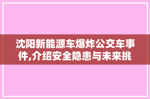 沈阳新能源车爆炸公交车事件,介绍安全隐患与未来挑战