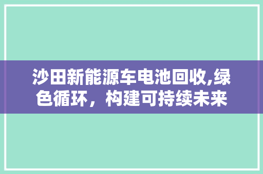 沙田新能源车电池回收,绿色循环，构建可持续未来