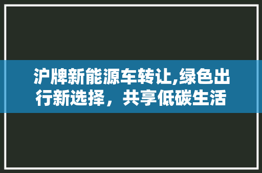 沪牌新能源车转让,绿色出行新选择，共享低碳生活