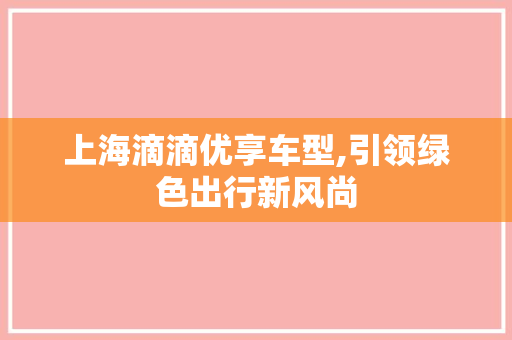 上海滴滴优享车型,引领绿色出行新风尚