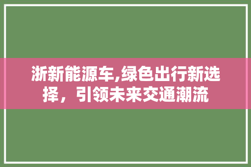 浙新能源车,绿色出行新选择，引领未来交通潮流