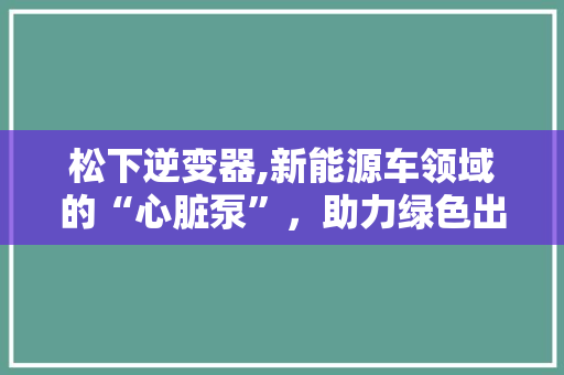 松下逆变器,新能源车领域的“心脏泵”，助力绿色出行