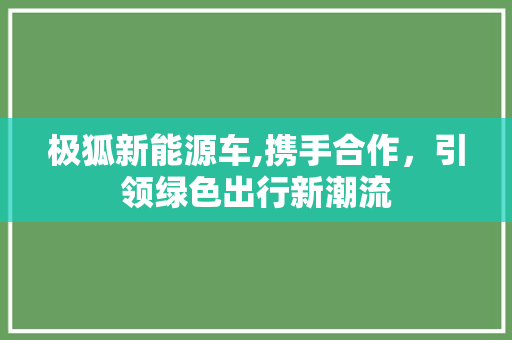极狐新能源车,携手合作，引领绿色出行新潮流