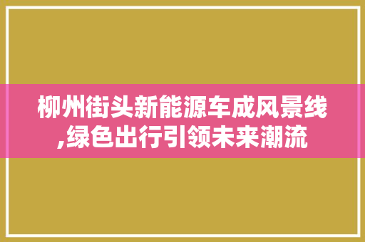 柳州街头新能源车成风景线,绿色出行引领未来潮流