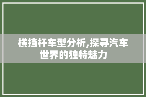 横挡杆车型分析,探寻汽车世界的独特魅力
