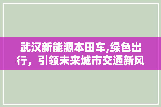 武汉新能源本田车,绿色出行，引领未来城市交通新风尚