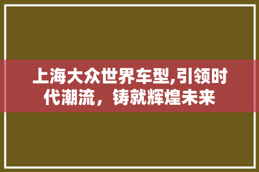 上海大众世界车型,引领时代潮流，铸就辉煌未来