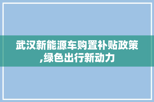 武汉新能源车购置补贴政策,绿色出行新动力