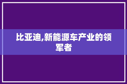 比亚迪,新能源车产业的领军者