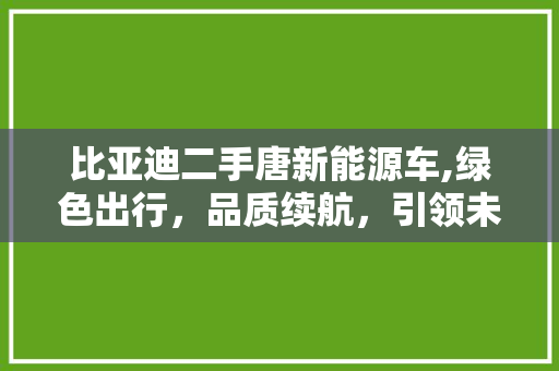 比亚迪二手唐新能源车,绿色出行，品质续航，引领未来出行新风尚