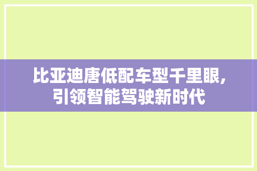 比亚迪唐低配车型千里眼,引领智能驾驶新时代