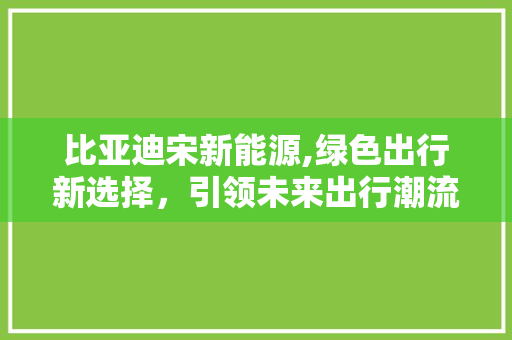 比亚迪宋新能源,绿色出行新选择，引领未来出行潮流
