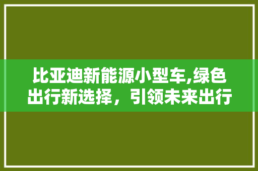 比亚迪新能源小型车,绿色出行新选择，引领未来出行潮流