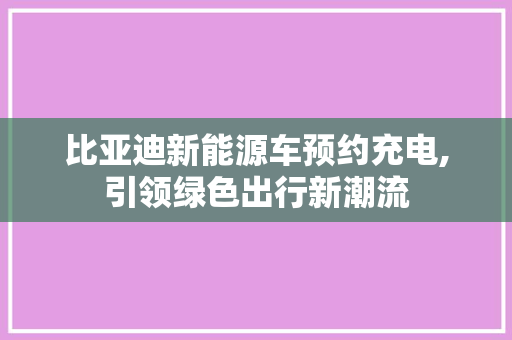 比亚迪新能源车预约充电,引领绿色出行新潮流
