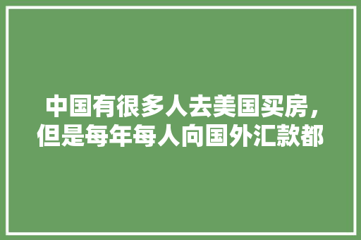 2024年值得入手的车型盘点,适用与颜值并存