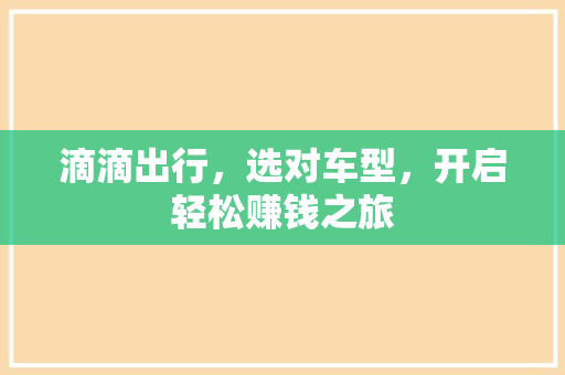 滴滴出行，选对车型，开启轻松赚钱之旅