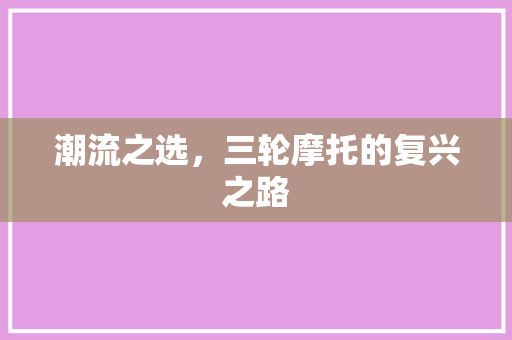 潮流之选，三轮摩托的复兴之路