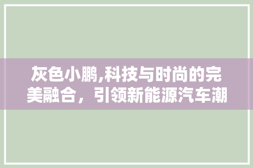 灰色小鹏,科技与时尚的完美融合，引领新能源汽车潮流