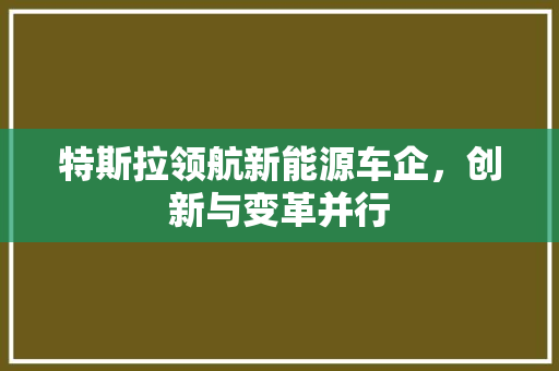 特斯拉领航新能源车企，创新与变革并行