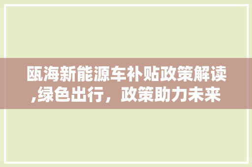 瓯海新能源车补贴政策解读,绿色出行，政策助力未来