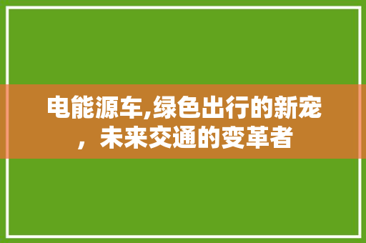 电能源车,绿色出行的新宠，未来交通的变革者