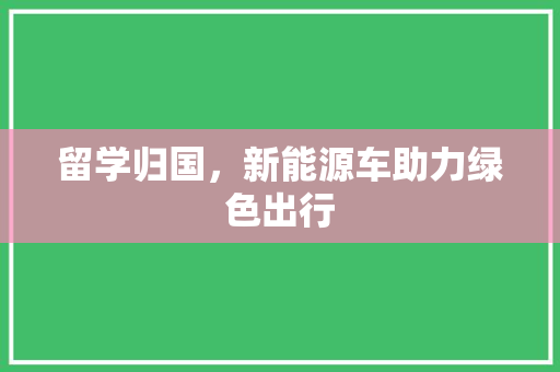 留学归国，新能源车助力绿色出行