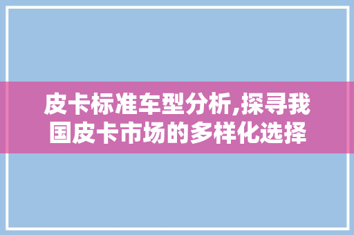 皮卡标准车型分析,探寻我国皮卡市场的多样化选择